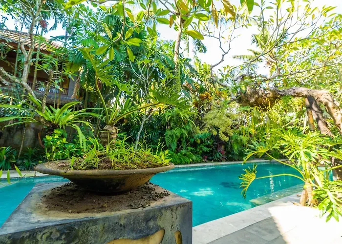 The Pause - Soca * Ubud (Bali)