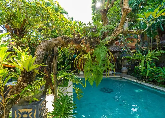 The Pause - Soca Ubud (Bali)