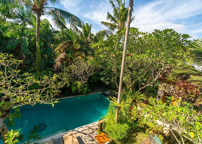 The Pause - Soca * Ubud (Bali)