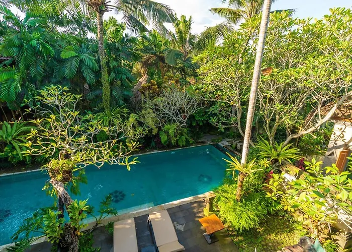 The Pause - Soca Ubud (Bali)